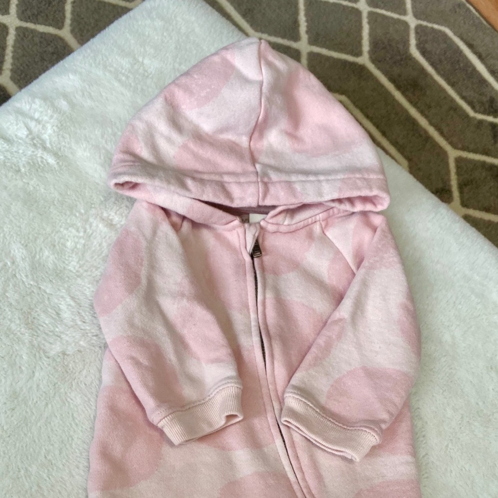Gymboree Hooded Jumper